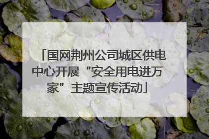 国网荆州公司城区供电中心开展“安全用电进万家”主题宣传活动