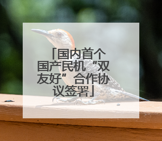 国内首个 国产民机“双友好”合作协议签署