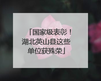 国家级表彰！湖北英山县这些单位获殊荣