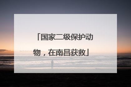国家二级保护动物，在南昌获救