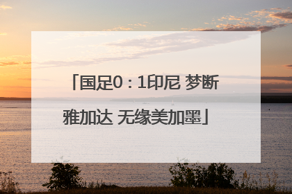 国足0∶1印尼 梦断雅加达 无缘美加墨