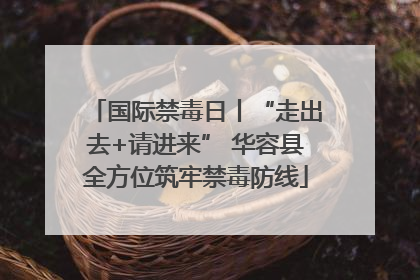 国际禁毒日丨“走出去+请进来” 华容县全方位筑牢禁毒防线