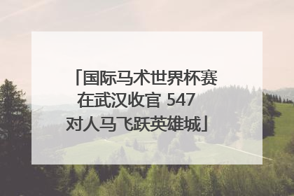 国际马术世界杯赛在武汉收官 547对人马飞跃英雄城