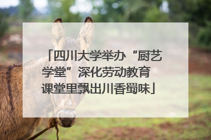 四川大学举办“厨艺学堂”深化劳动教育 课堂里飘出川香蜀味