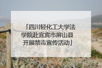 四川轻化工大学法学院赴宜宾市屏山县开展禁毒宣传活动