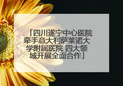 四川遂宁中心医院牵手意大利萨莱诺大学附属医院 四大领域开展全面合作