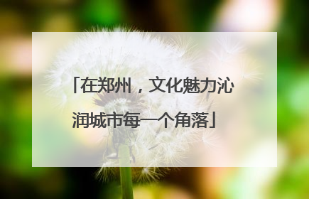 在郑州，文化魅力沁润城市每一个角落