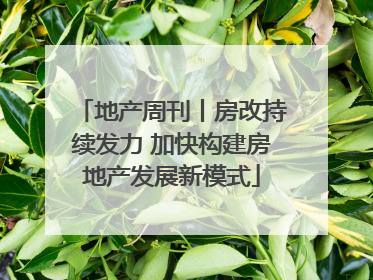 地产周刊丨房改持续发力 加快构建房地产发展新模式