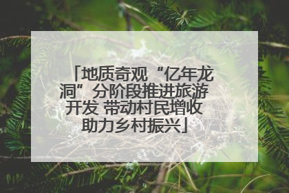 地质奇观“亿年龙洞”分阶段推进旅游开发 带动村民增收助力乡村振兴