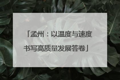 孟州：以温度与速度书写高质量发展答卷