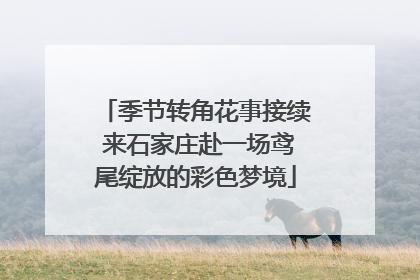 季节转角花事接续 来石家庄赴一场鸢尾绽放的彩色梦境