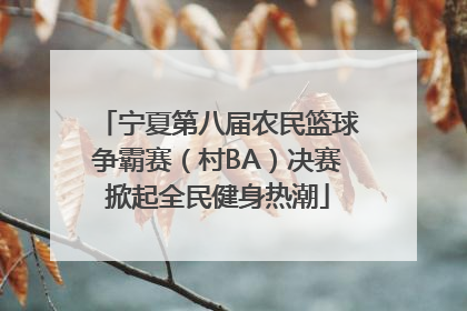 宁夏第八届农民篮球争霸赛（村BA）决赛掀起全民健身热潮