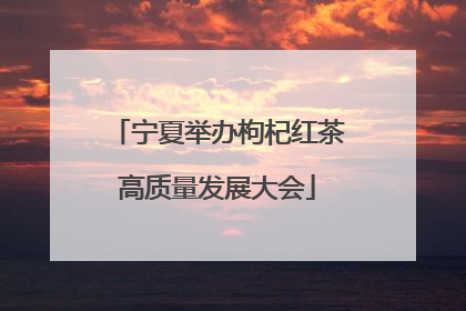 宁夏举办枸杞红茶高质量发展大会