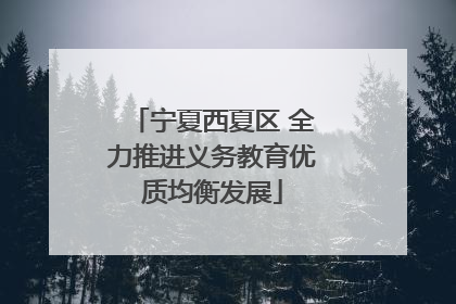 宁夏西夏区 全力推进义务教育优质均衡发展