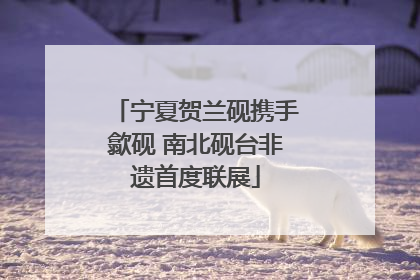 宁夏贺兰砚携手歙砚 南北砚台非遗首度联展