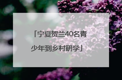 宁夏贺兰40名青少年到乡村研学