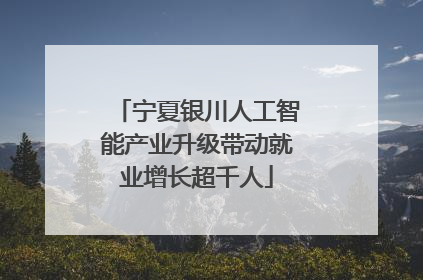 宁夏银川人工智能产业升级带动就业增长超千人