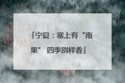 宁夏：塞上有“南果” 四季别样香