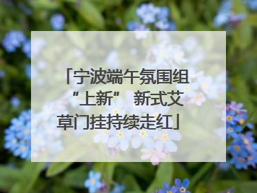 宁波端午氛围组“上新” 新式艾草门挂持续走红