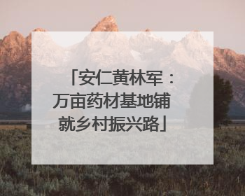 安仁黄林军：万亩药材基地铺就乡村振兴路