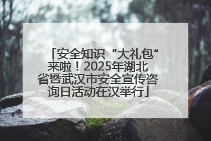 安全知识“大礼包”来啦！2025年湖北省暨武汉市安全宣传咨询日活动在汉举行