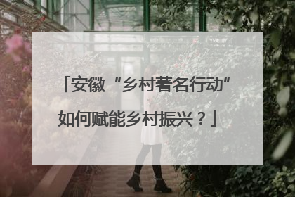 安徽“乡村著名行动”如何赋能乡村振兴？