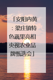 安阳内黄：梁庄镇特色蔬果亮相央视农业品牌甄选会