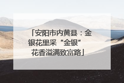 安阳市内黄县：金银花里采“金银” 花香溢满致富路
