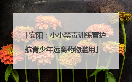 安阳：小小禁毒训练营护航青少年远离药物滥用