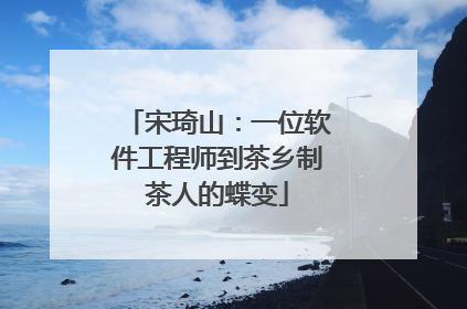 宋琦山：一位软件工程师到茶乡制茶人的蝶变