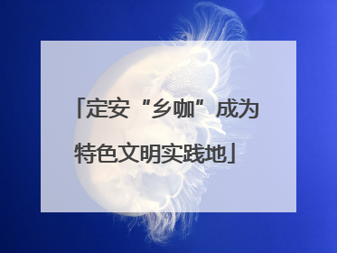 定安“乡咖”成为特色文明实践地
