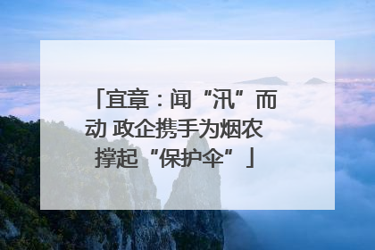 宜章：闻“汛”而动 政企携手为烟农撑起“保护伞”