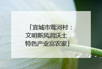 宜城市莺河村：文明新风润沃土 特色产业富农家
