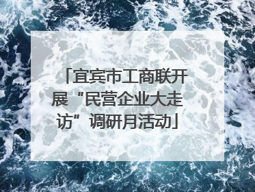 宜宾市工商联开展“民营企业大走访”调研月活动