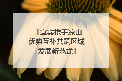 宜宾携手凉山 优势互补共筑区域发展新范式
