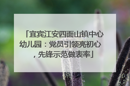 宜宾江安四面山镇中心幼儿园：党员引领亮初心，先锋示范做表率
