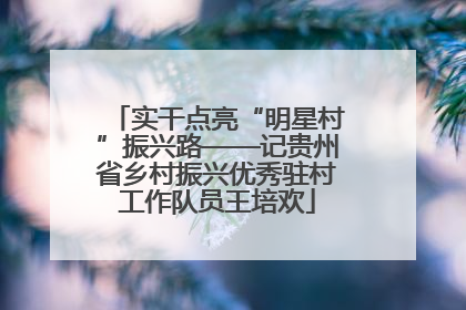 实干点亮“明星村”振兴路——记贵州省乡村振兴优秀驻村工作队员王培欢