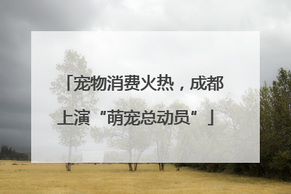 宠物消费火热，成都上演“萌宠总动员”