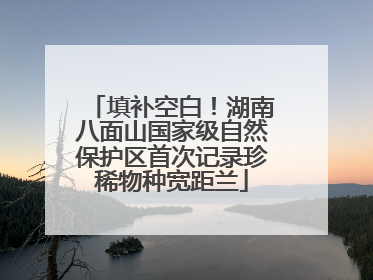 填补空白！湖南八面山国家级自然保护区首次记录珍稀物种宽距兰