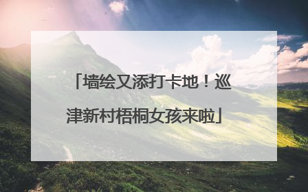 墙绘又添打卡地！巡津新村梧桐女孩来啦