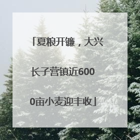 夏粮开镰，大兴长子营镇近6000亩小麦迎丰收