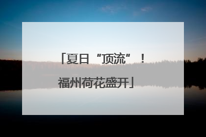 夏日“顶流”！福州荷花盛开