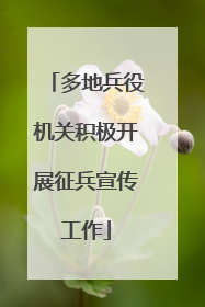 多地兵役机关积极开展征兵宣传工作