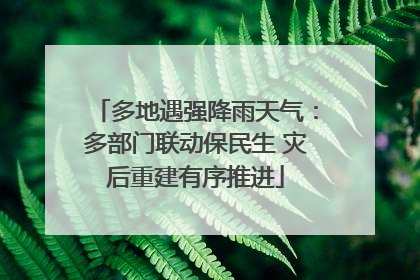 多地遇强降雨天气：多部门联动保民生 灾后重建有序推进