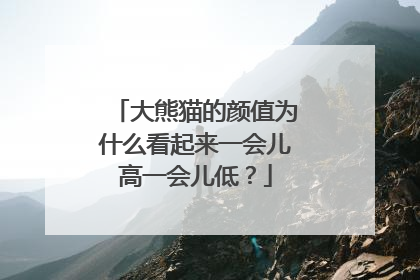 大熊猫的颜值为什么看起来一会儿高一会儿低？