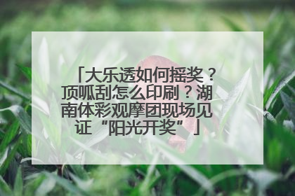 大乐透如何摇奖？顶呱刮怎么印刷？湖南体彩观摩团现场见证“阳光开奖”