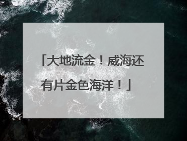 大地流金！威海还有片金色海洋！