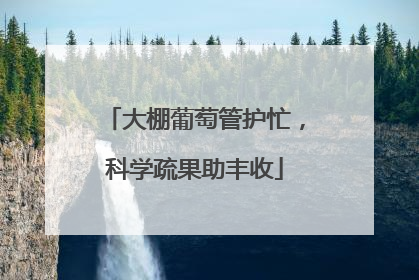 大棚葡萄管护忙，科学疏果助丰收