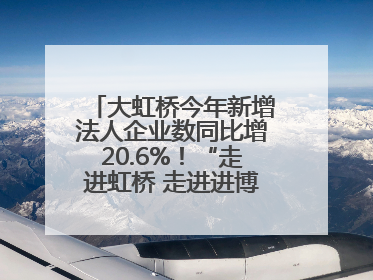 大虹桥今年新增法人企业数同比增20.6%！“走进虹桥 走进进博”活动举办