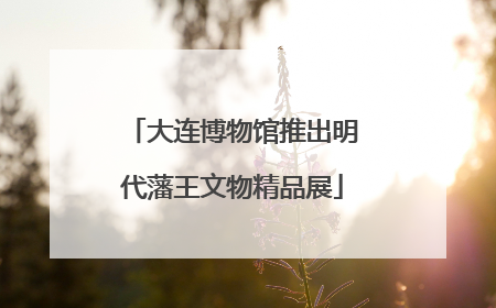 大连博物馆推出明代藩王文物精品展